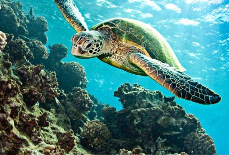 Eşsiz Güzelliği ile Dünyaca Ünlü Patara Plajı Eşsiz Güzelliği ile Dünyaca Ünlü Patara Plajı
