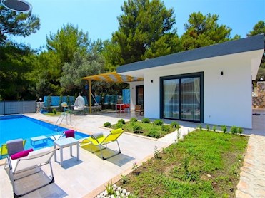 Villa Bingo Villa Bingo