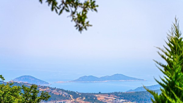 Villa Santo